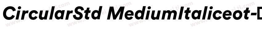 CircularStd MediumItaliceot字体转换